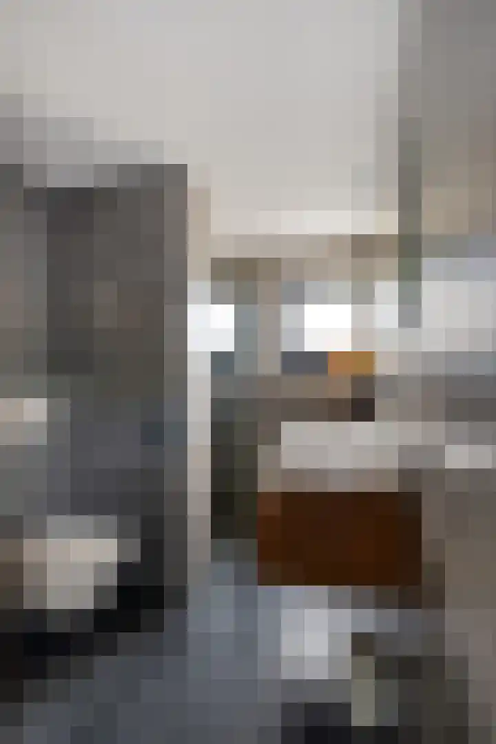 Klimopstraat 4 Schagen thumbnail 27