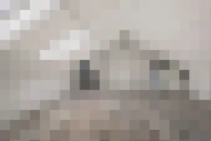 Klimopstraat 4 Schagen thumbnail 36