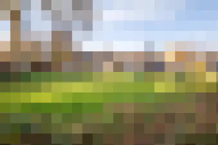 Klimopstraat 4 Schagen thumbnail 38