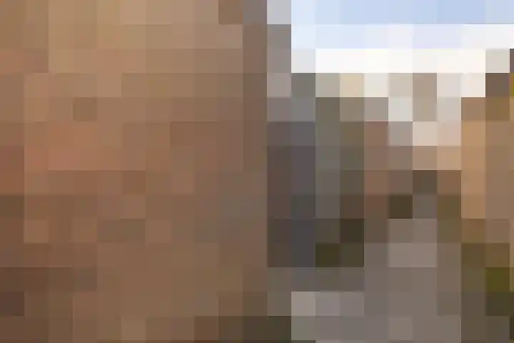 Klimopstraat 4 Schagen thumbnail 40