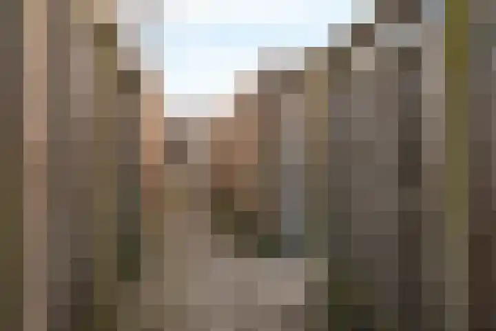 Klimopstraat 4 Schagen thumbnail 41