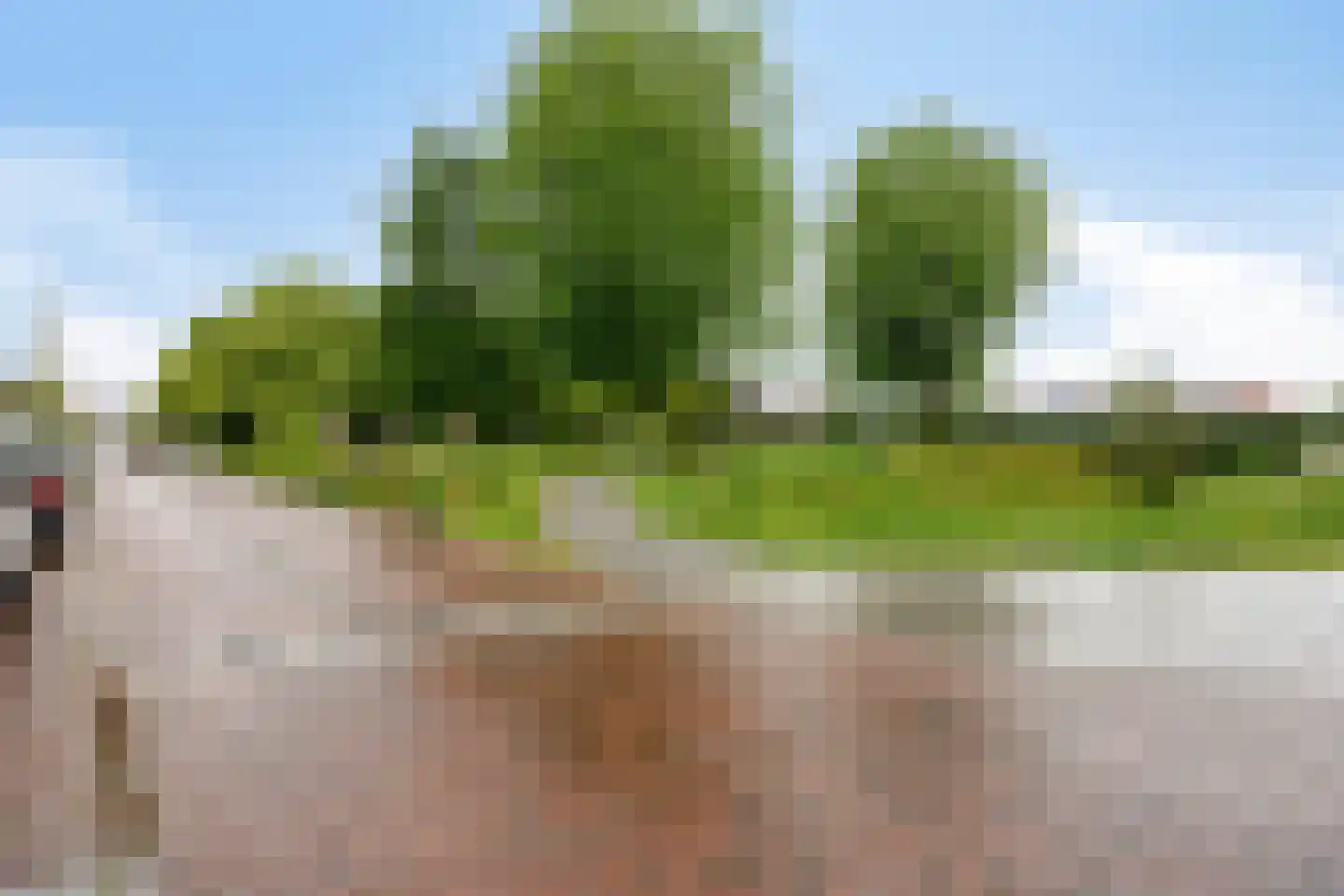 Klimopstraat 40 E Nijmegen thumbnail 36