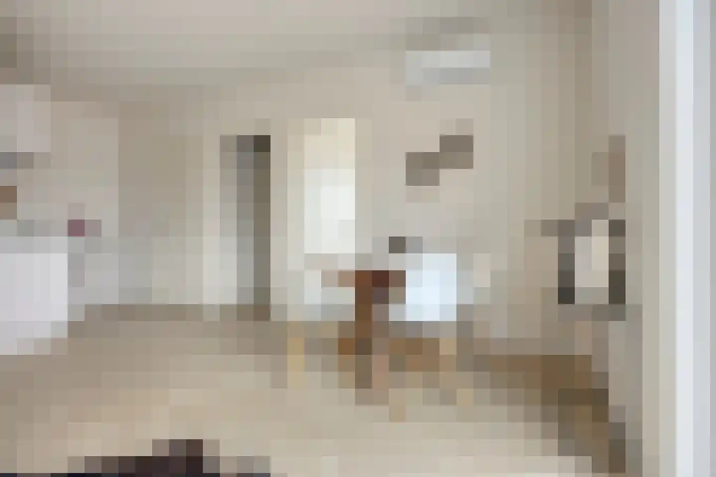 Klimopstraat 40 E Nijmegen thumbnail 9
