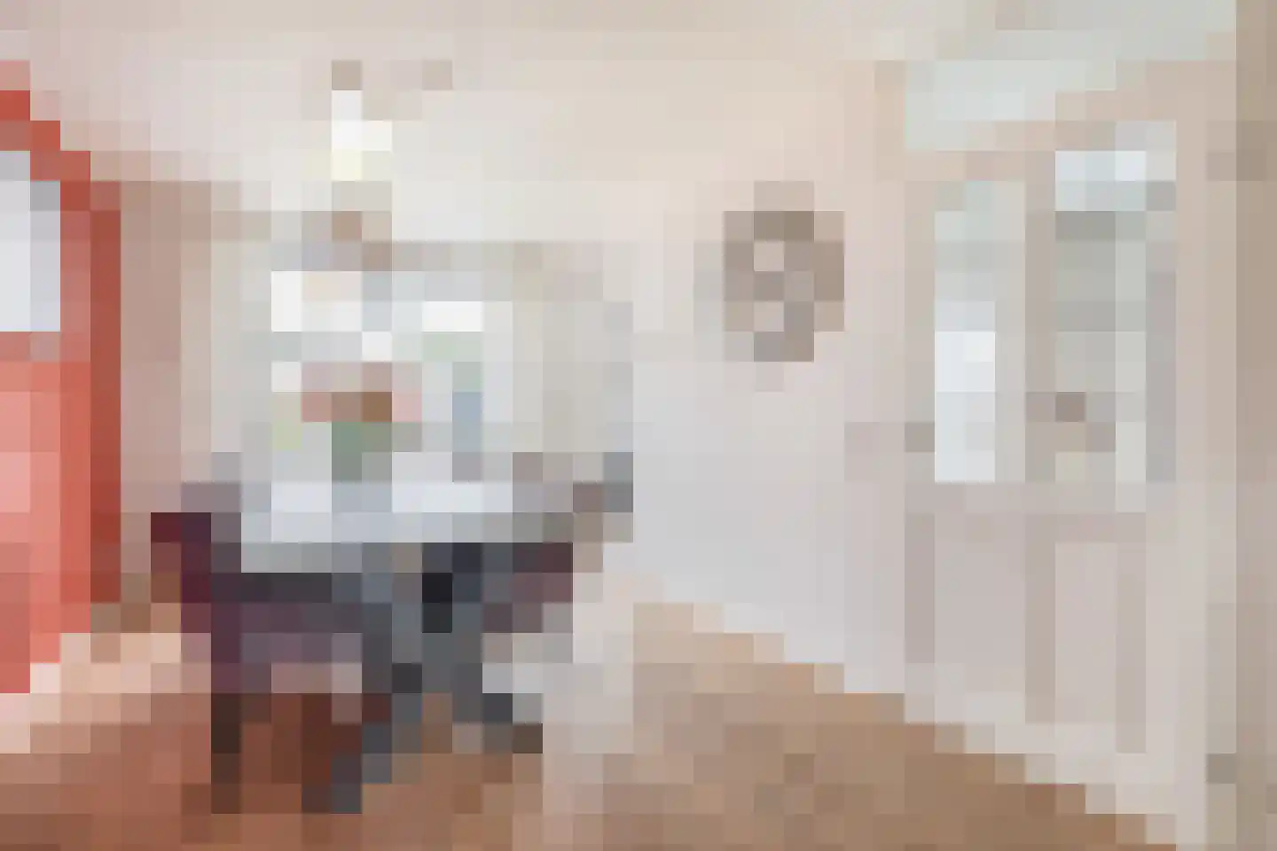 Klimopstraat 44 Venlo thumbnail 13