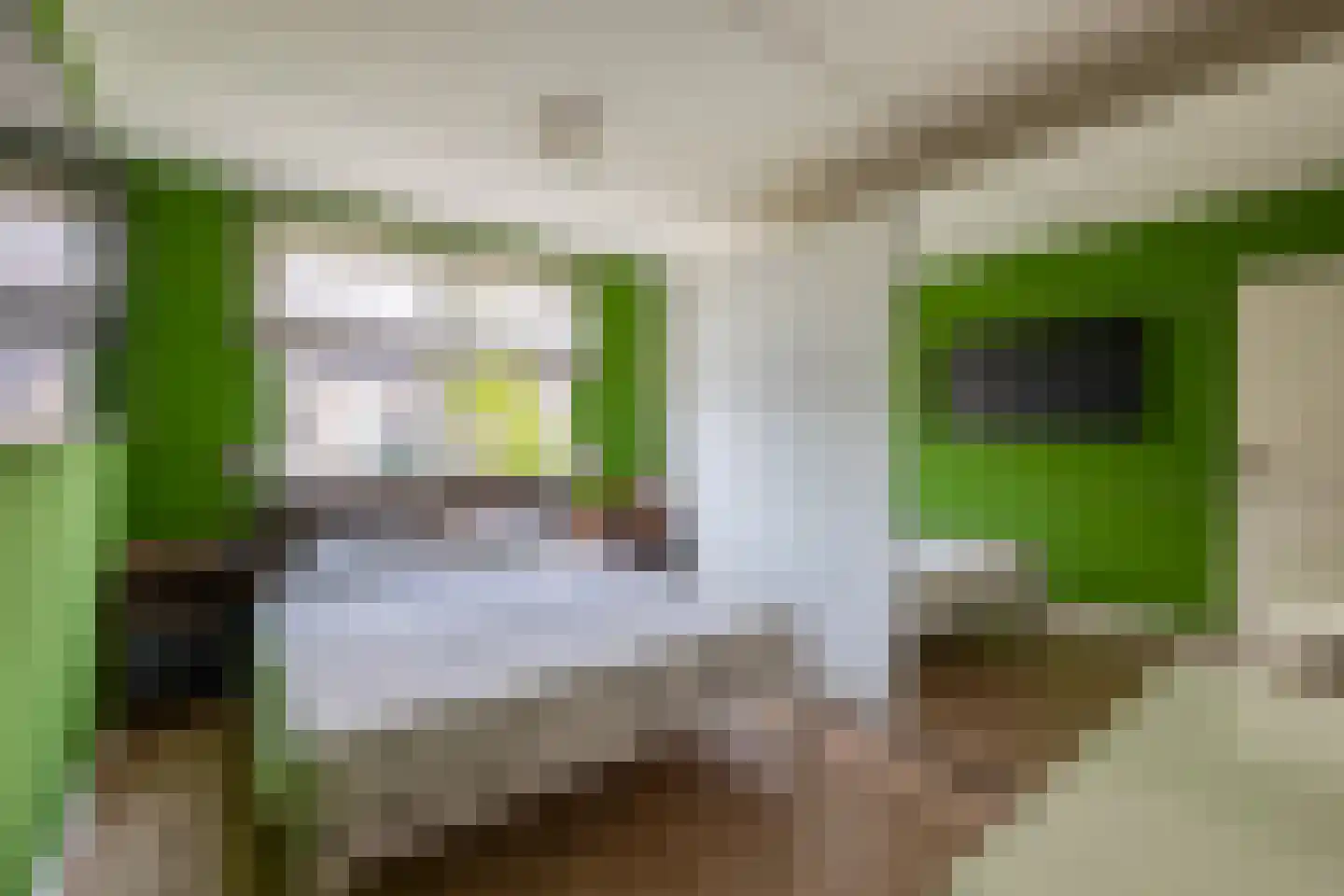 Klimopstraat 44 Venlo thumbnail 21