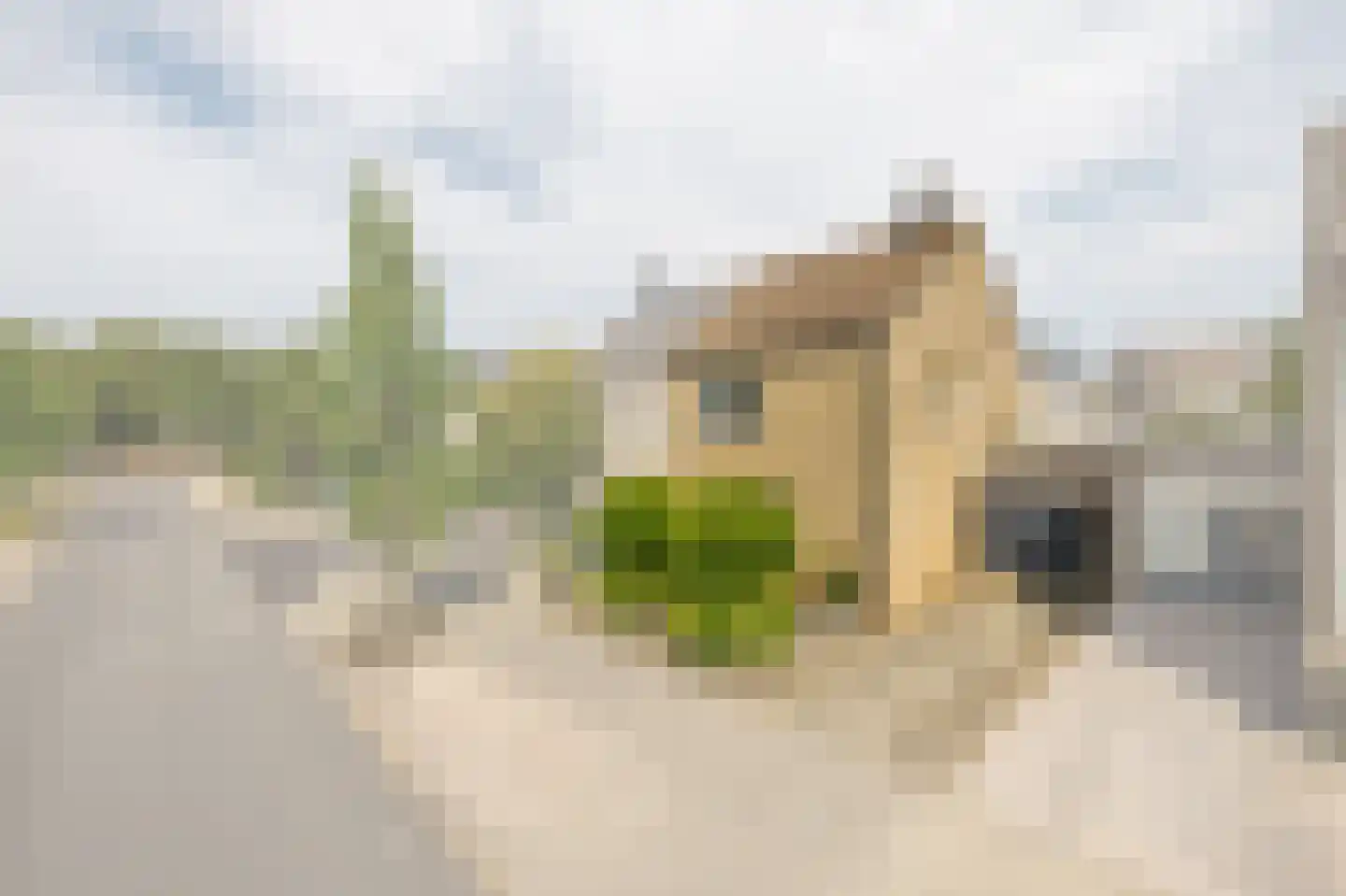Klimopstraat 44 Venlo thumbnail 6