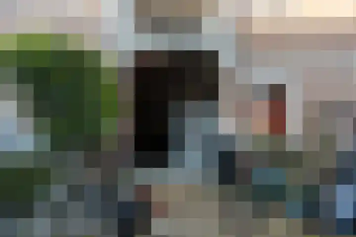 Klimopstraat 75 Den Haag thumbnail 32