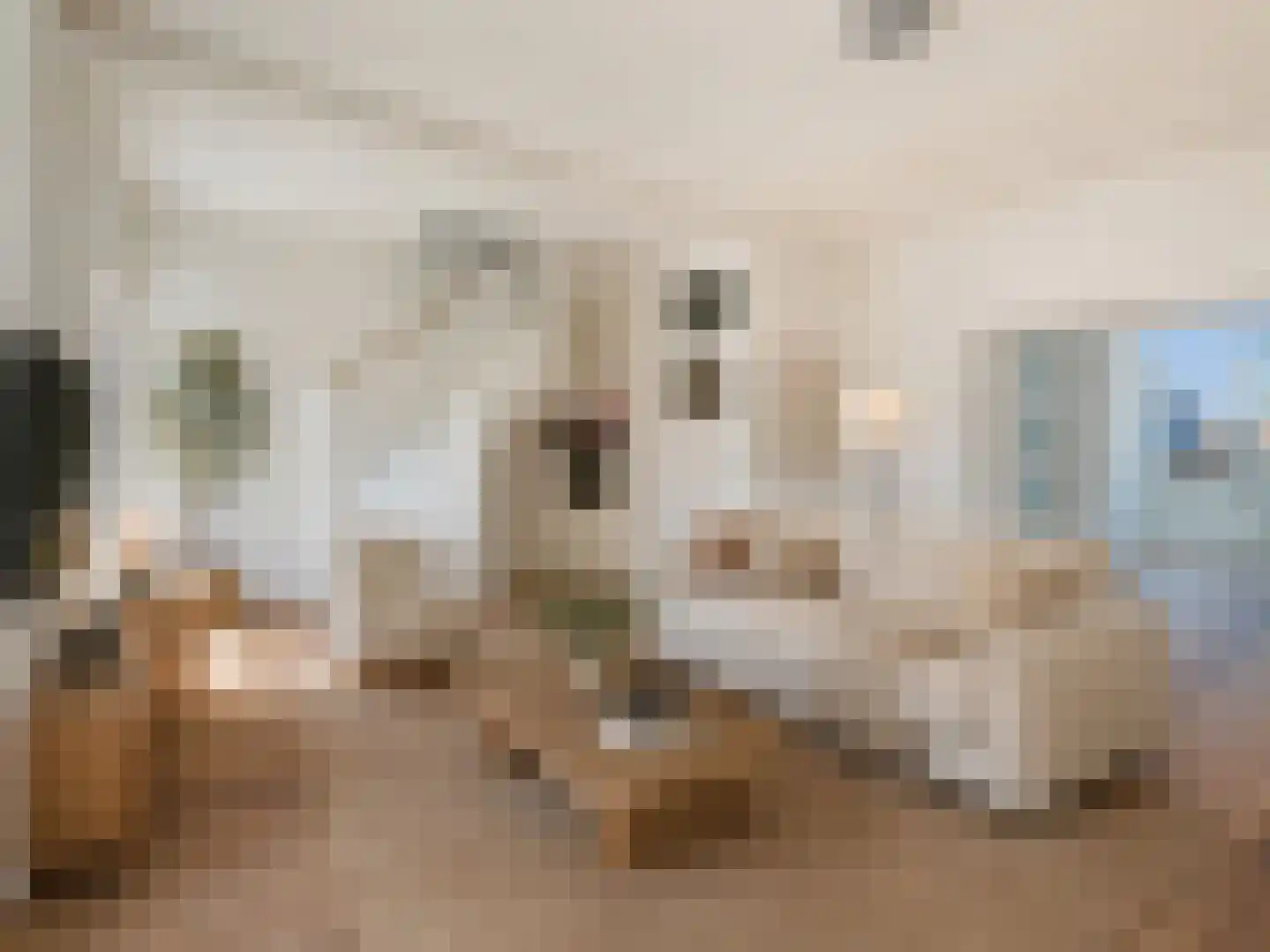 Klimopstraat 77 Den Haag thumbnail 10