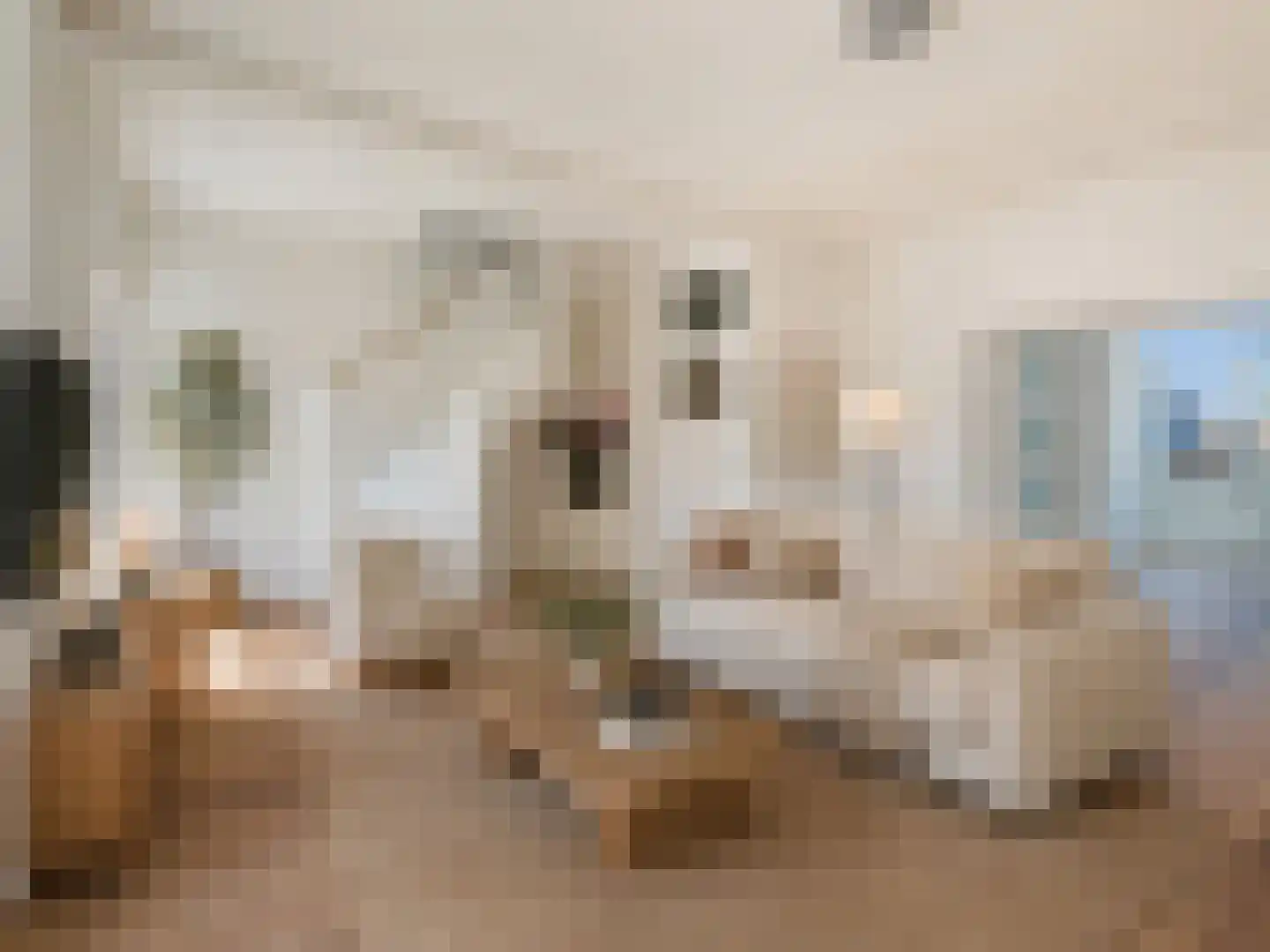 Klimopstraat 77 Den Haag thumbnail 10