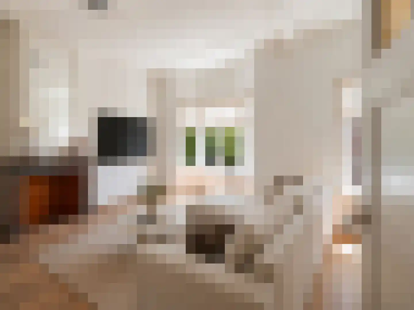 Klimopstraat 77 Den Haag thumbnail 12