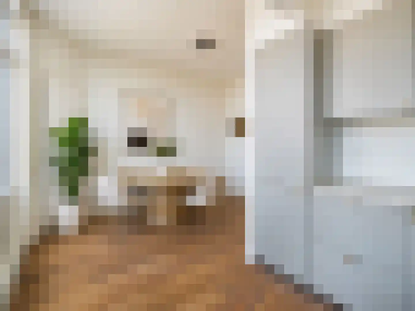 Klimopstraat 77 Den Haag thumbnail 18