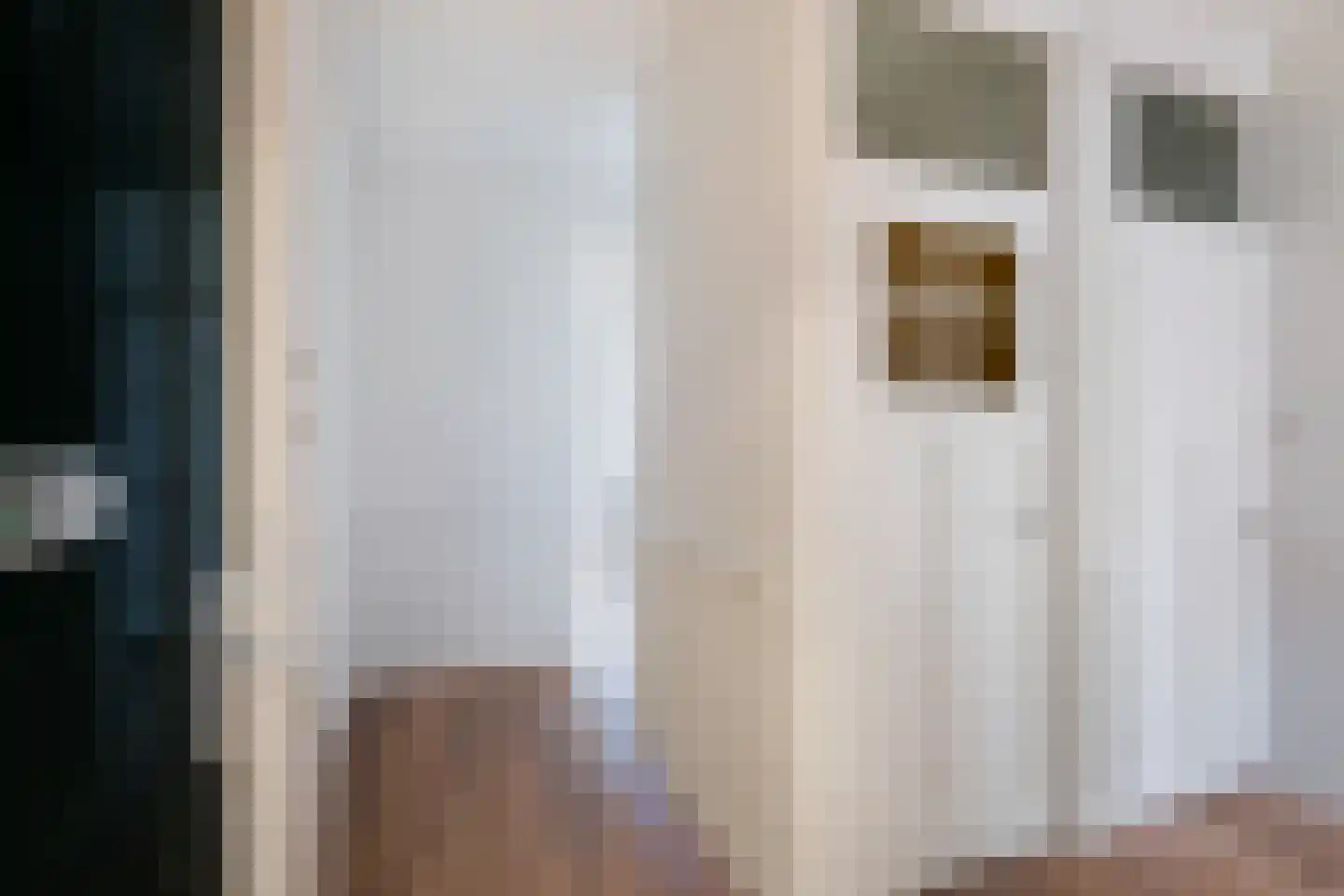 Klimopstraat 77 Den Haag thumbnail 7
