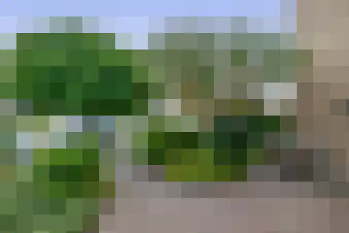 Klimopstraat 9 Musselkanaal thumbnail 10