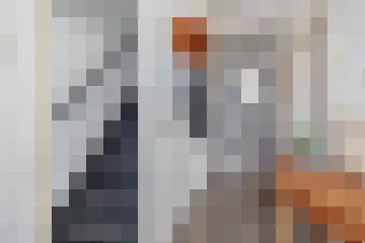 Klimopstraat 9 Musselkanaal thumbnail 11
