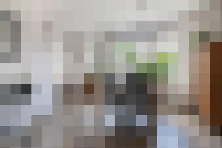 Klimopstraat 9 Musselkanaal thumbnail 16