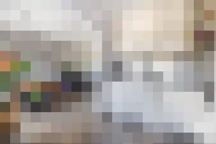 Klimopstraat 9 Musselkanaal thumbnail 17