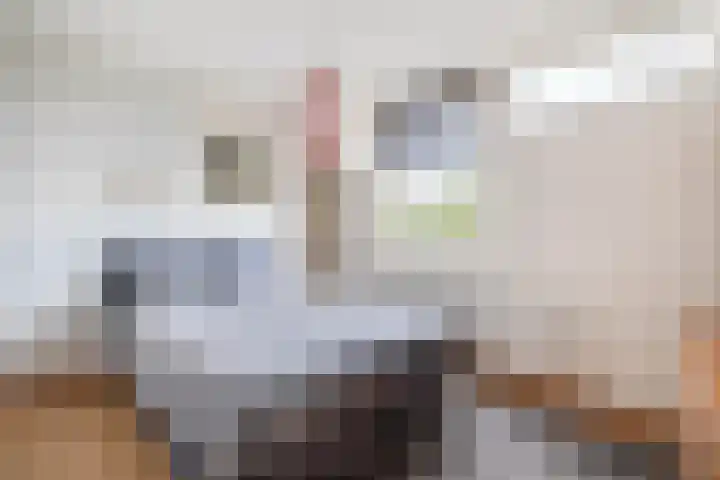 Klimopstraat 9 Musselkanaal thumbnail 21