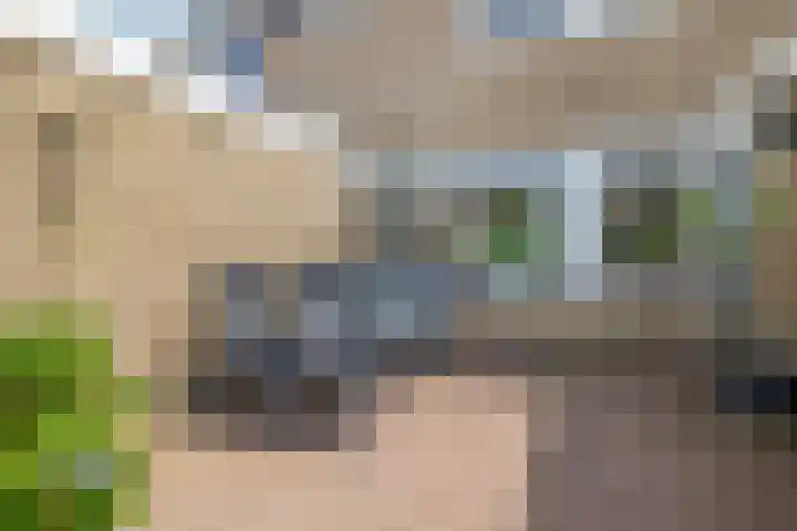 Klimopstraat 9 Musselkanaal thumbnail 29