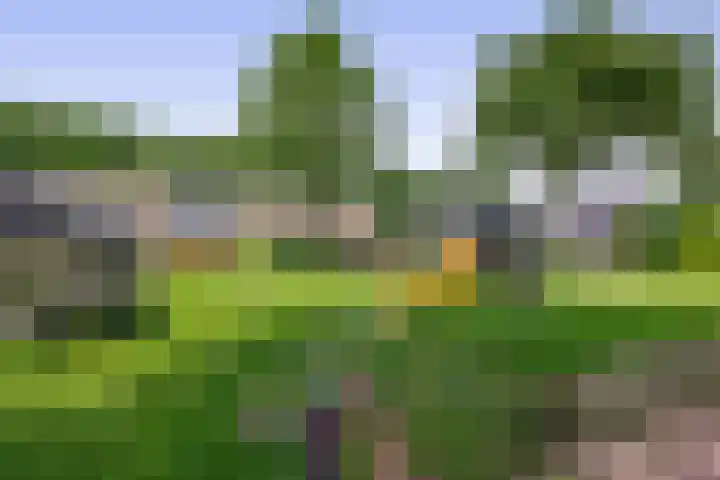 Klimopstraat 9 Musselkanaal thumbnail 33