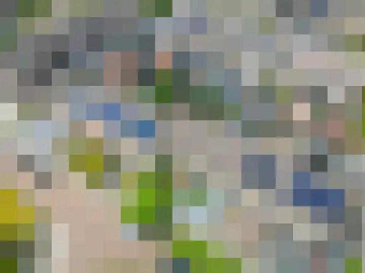 Klimopstraat 9 Musselkanaal thumbnail 35