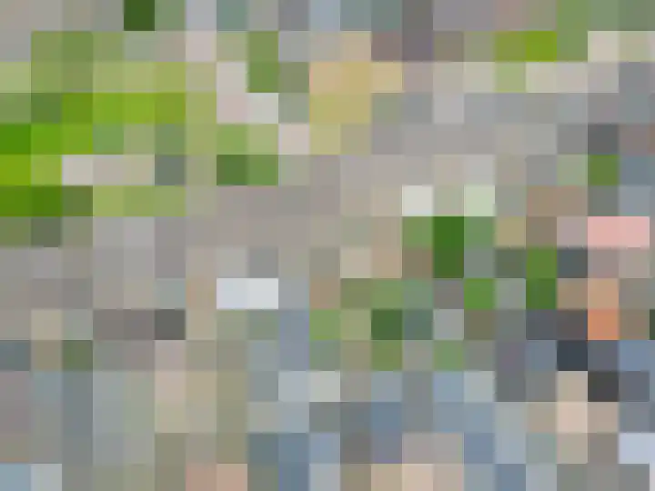 Klimopstraat 9 Musselkanaal thumbnail 37