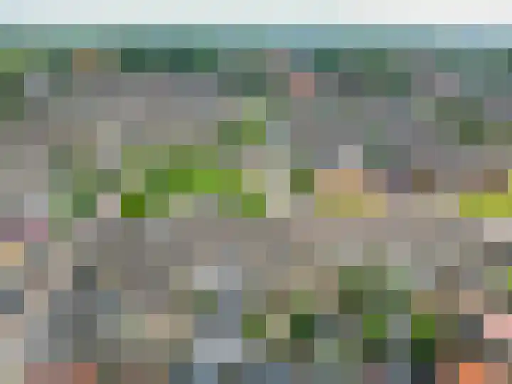 Klimopstraat 9 Musselkanaal thumbnail 38