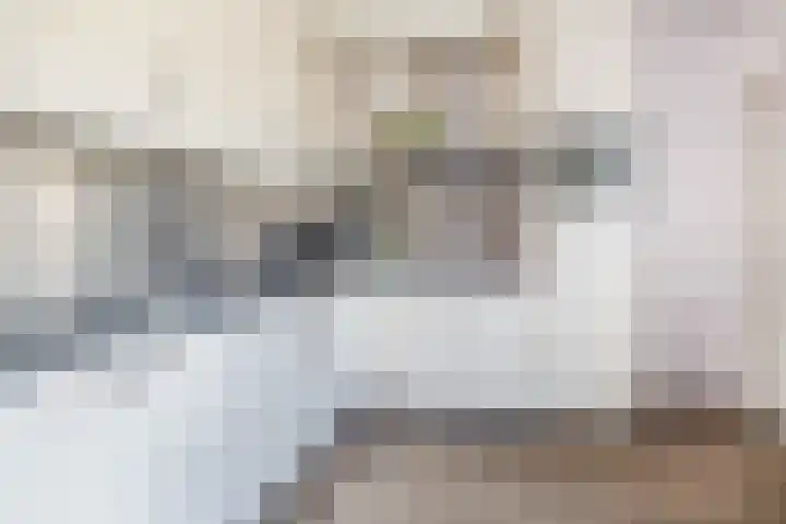 Klimopstraat 9 Musselkanaal thumbnail 4