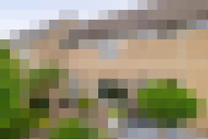 Klimopstraat 9 Musselkanaal thumbnail 41