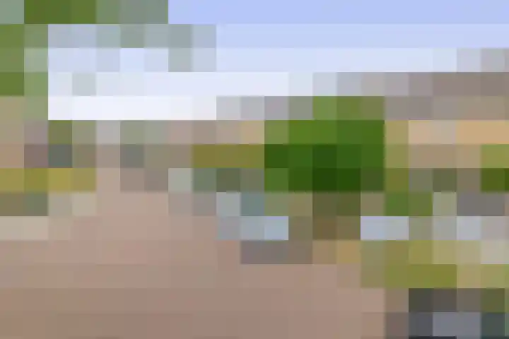 Klimopstraat 9 Musselkanaal thumbnail 5