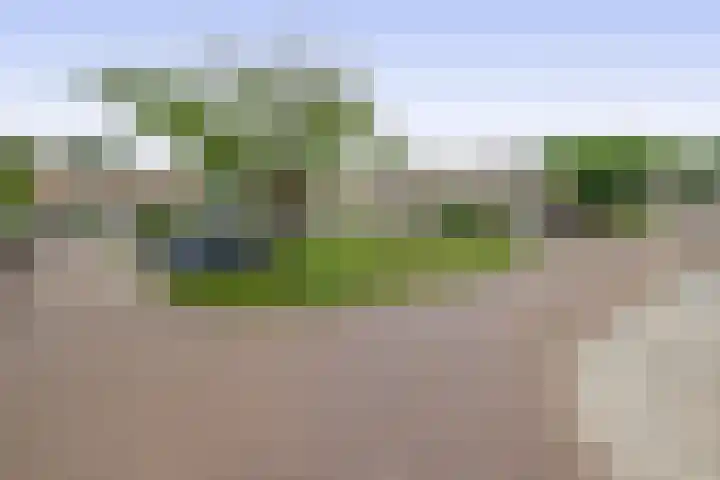 Klimopstraat 9 Musselkanaal thumbnail 8