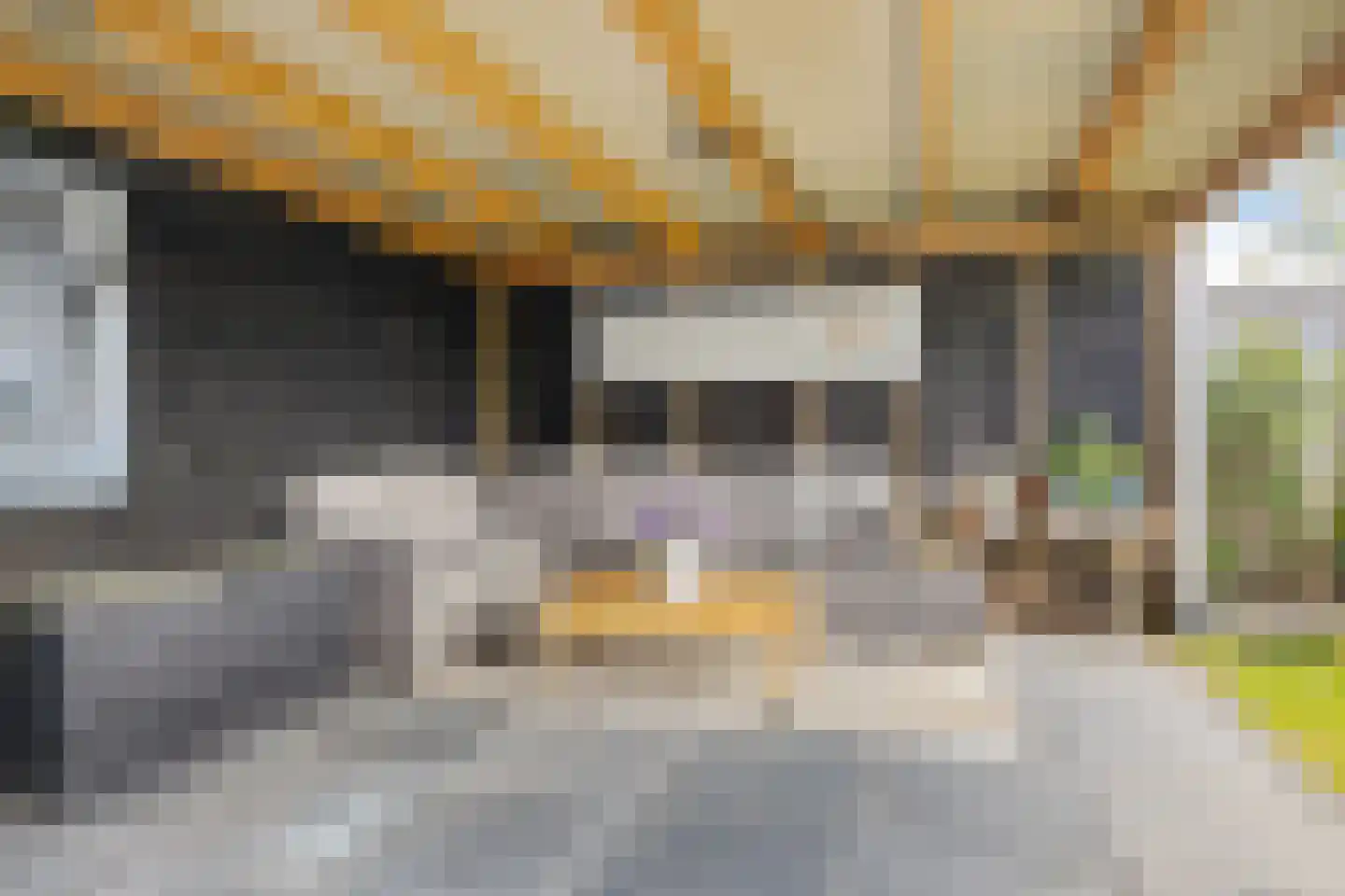 Klimopwal 16 Emmen thumbnail 37