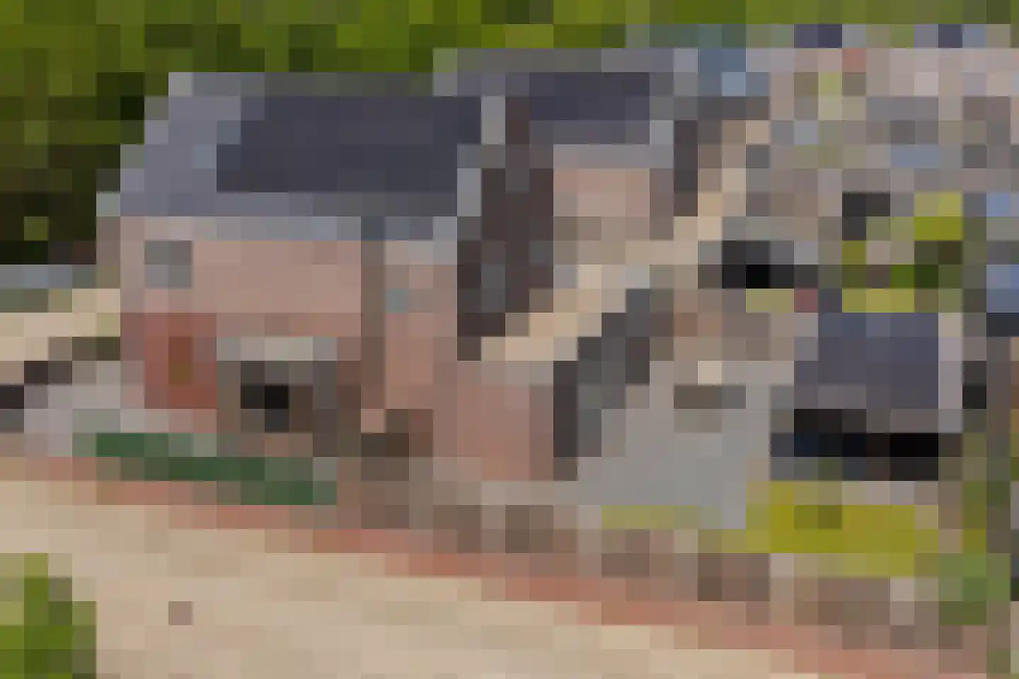 Klimopwal 16 Emmen thumbnail 41