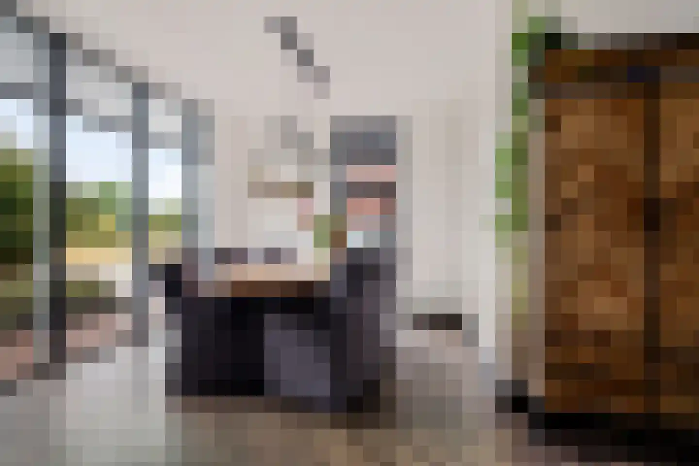 Klimopwal 4 Emmen thumbnail 10