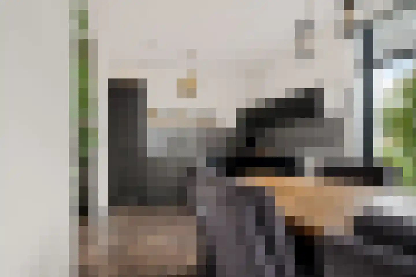 Klimopwal 4 Emmen thumbnail 11