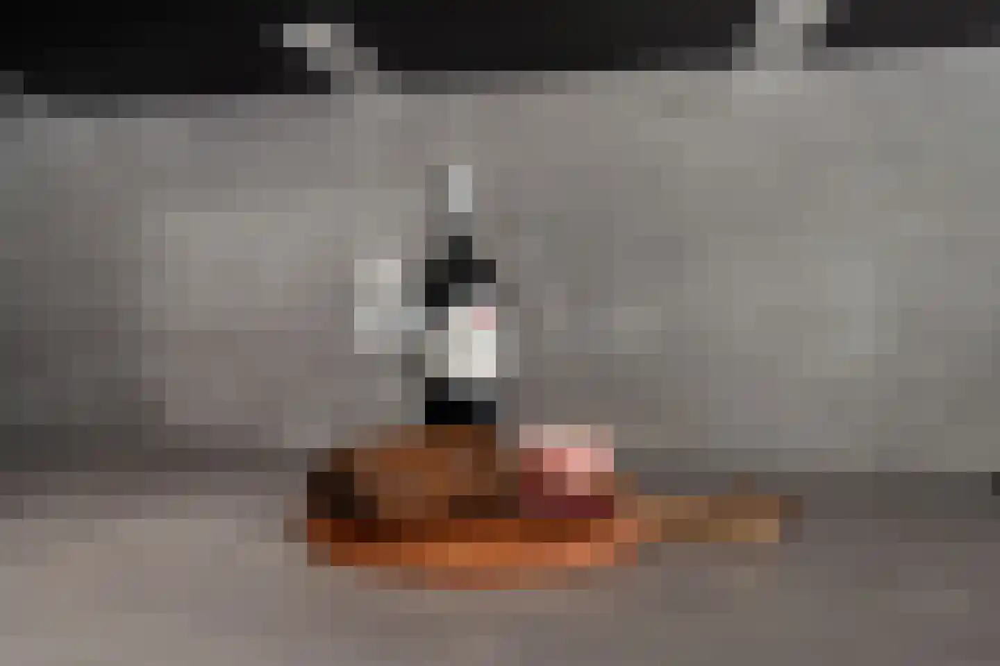 Klimopwal 4 Emmen thumbnail 14