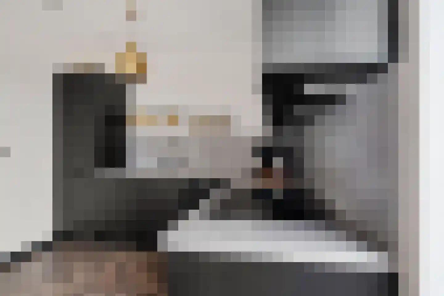Klimopwal 4 Emmen thumbnail 15
