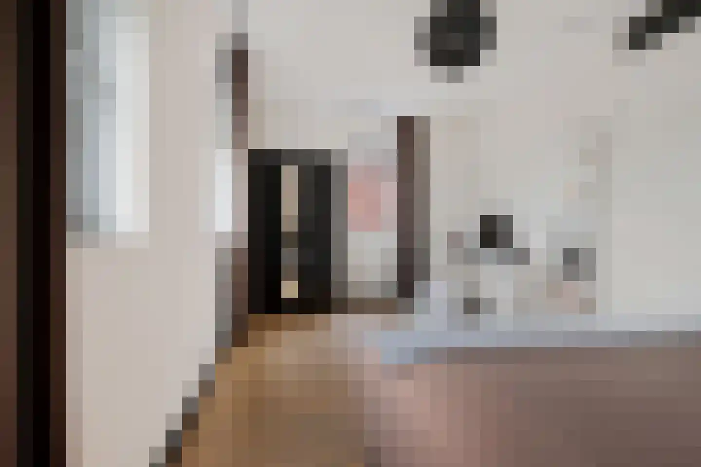 Klimopwal 4 Emmen thumbnail 23