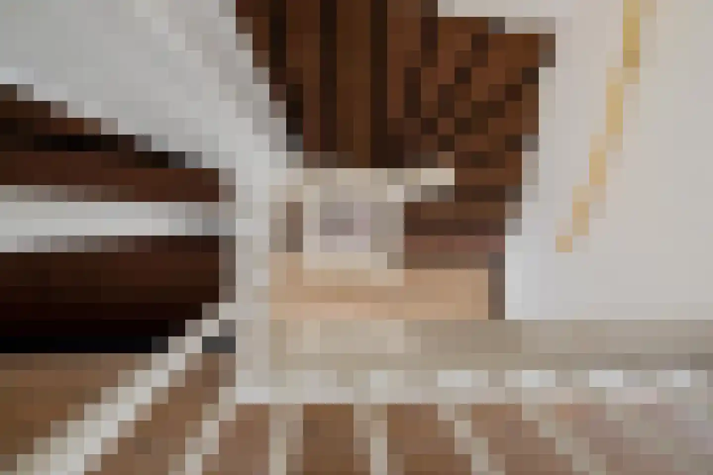 Klimopwal 4 Emmen thumbnail 24