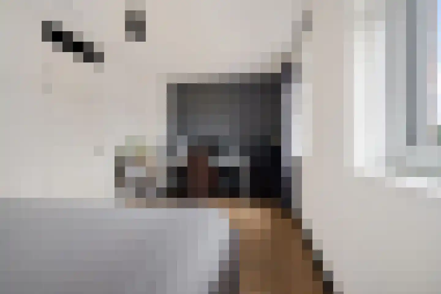 Klimopwal 4 Emmen thumbnail 27
