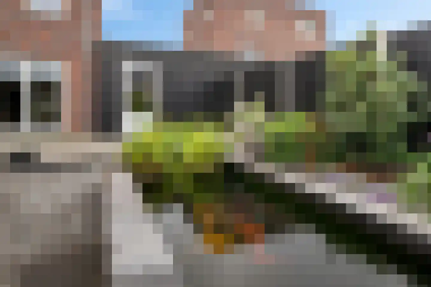 Klimopwal 4 Emmen thumbnail 31