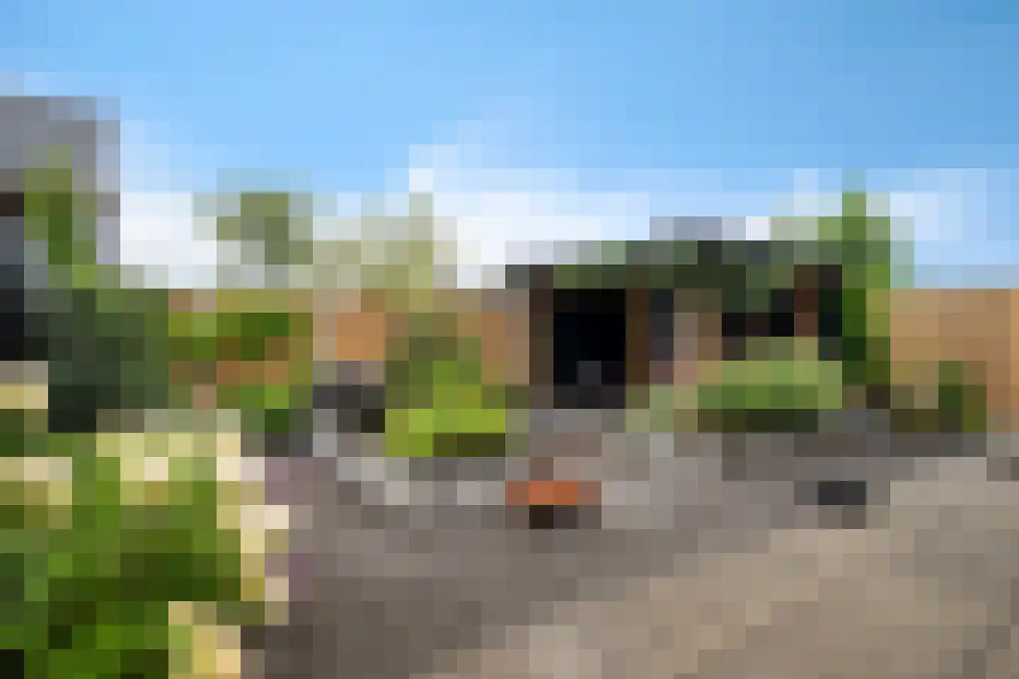 Klimopwal 4 Emmen thumbnail 33
