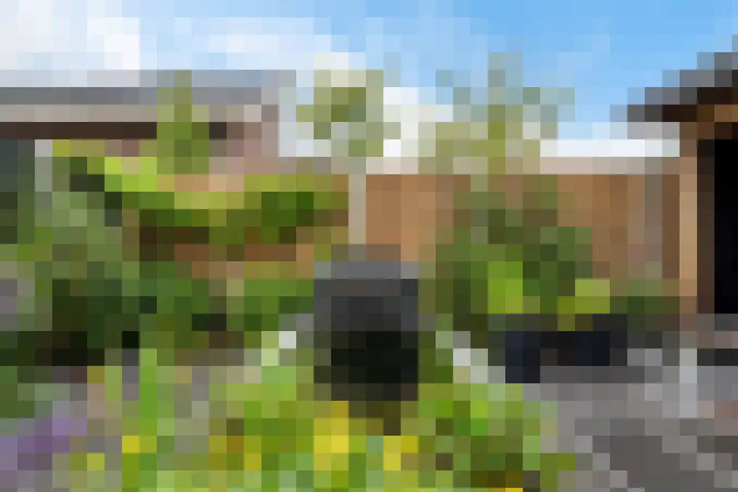 Klimopwal 4 Emmen thumbnail 34