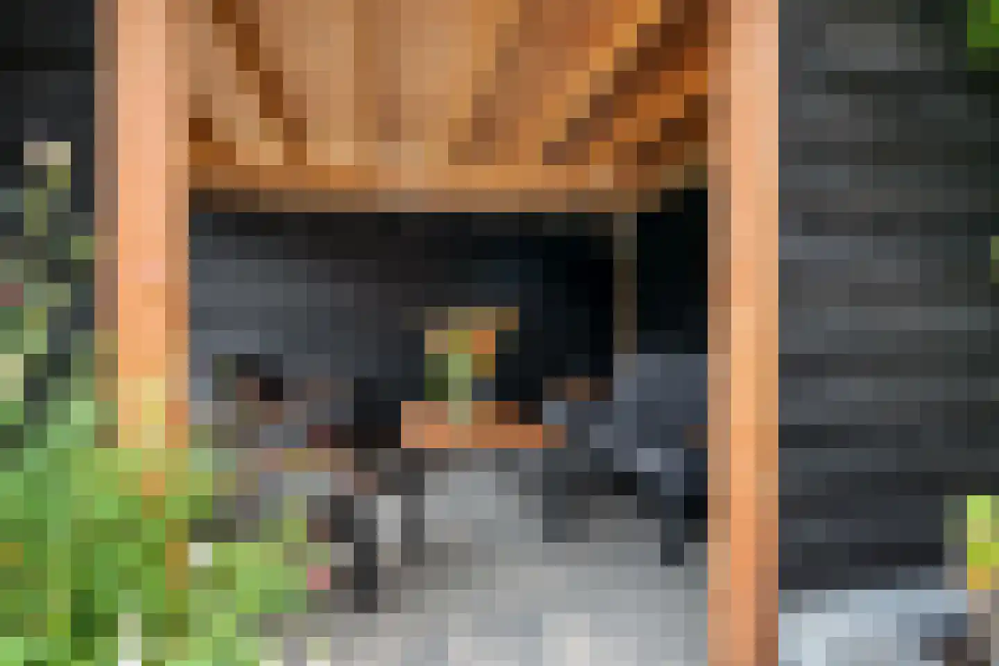 Klimopwal 4 Emmen thumbnail 35