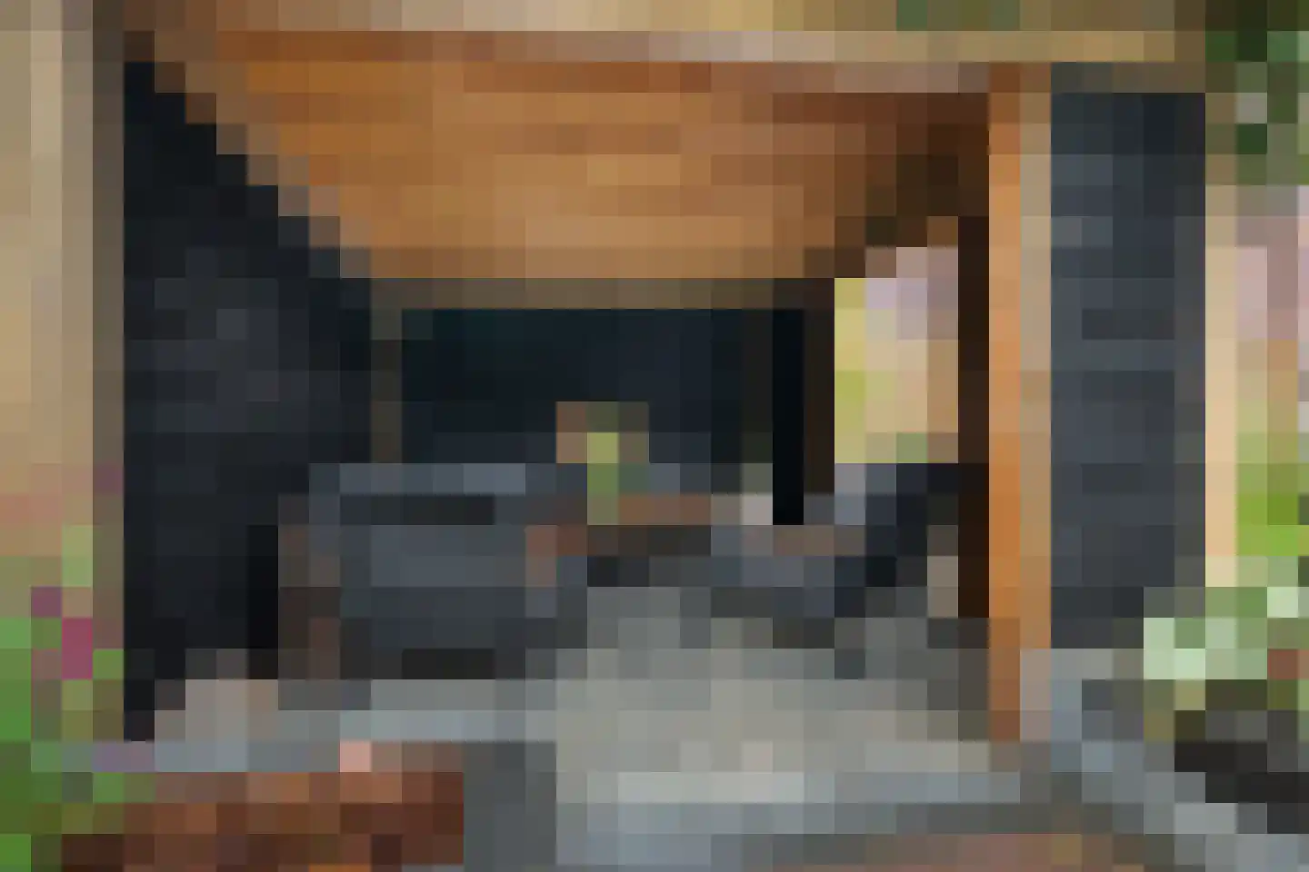 Klimopwal 4 Emmen thumbnail 36