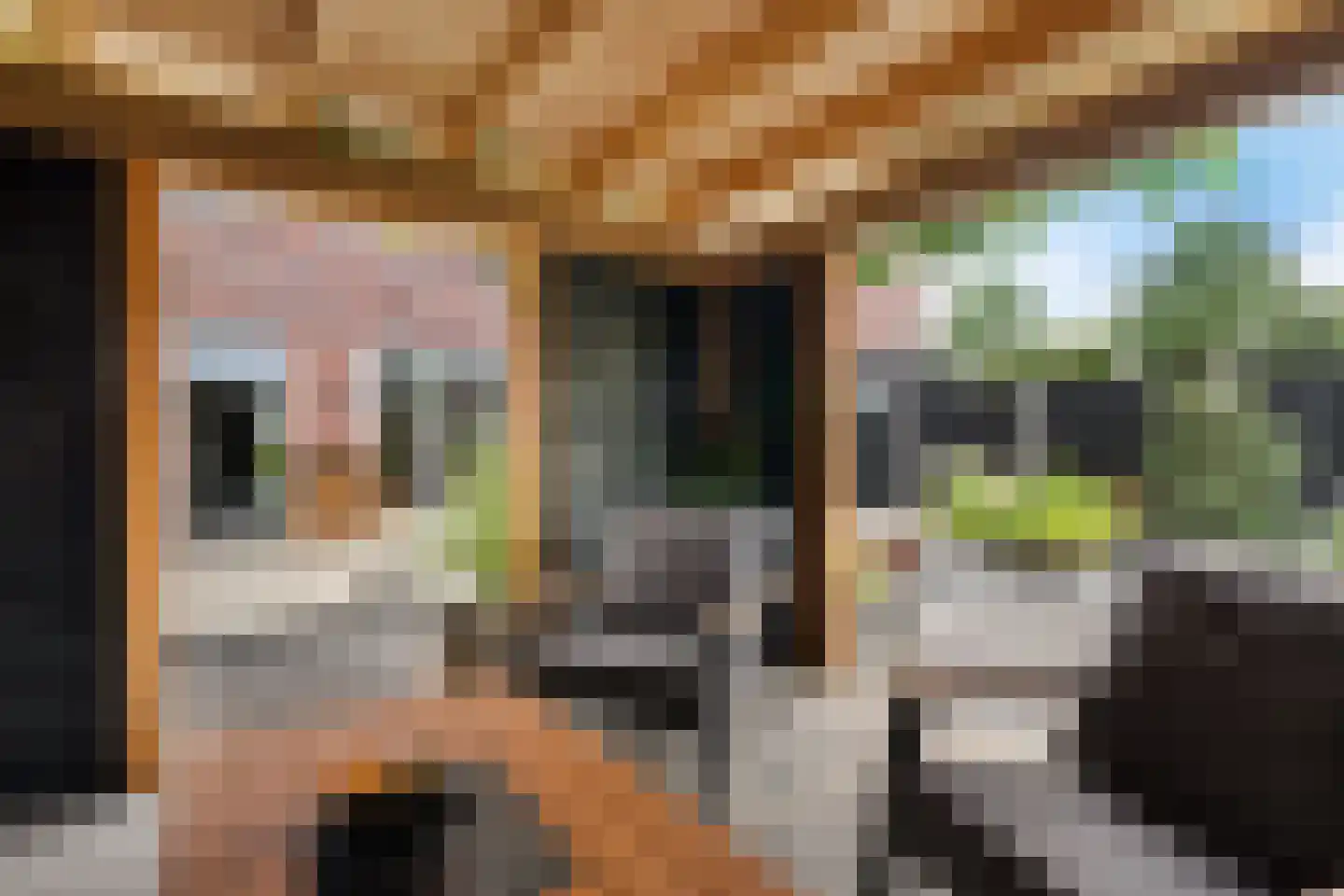 Klimopwal 4 Emmen thumbnail 37