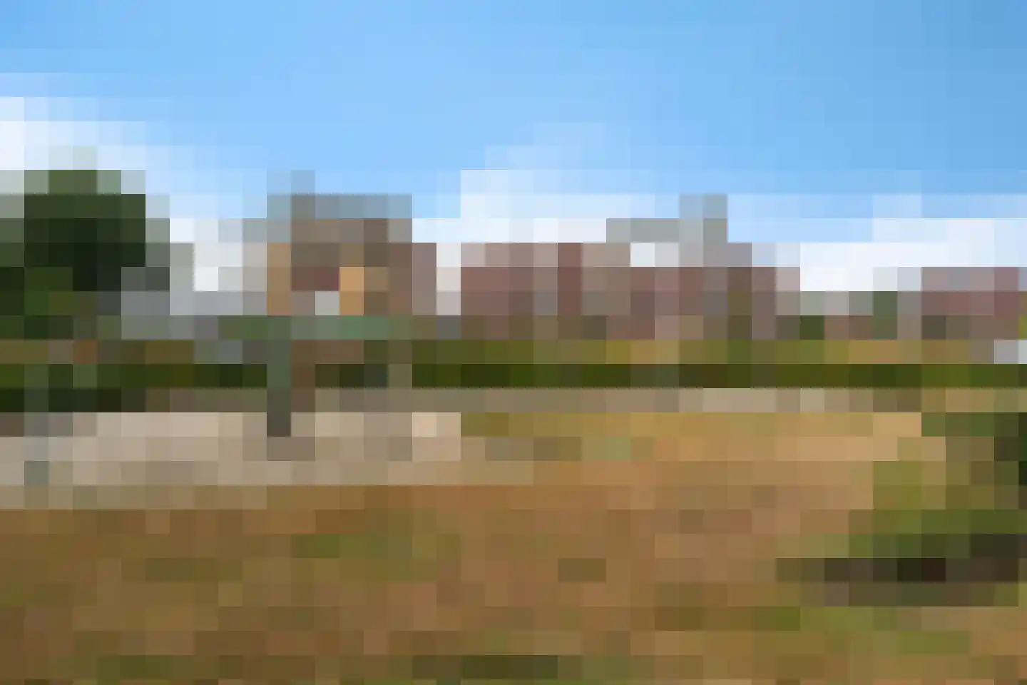 Klimopwal 4 Emmen thumbnail 39