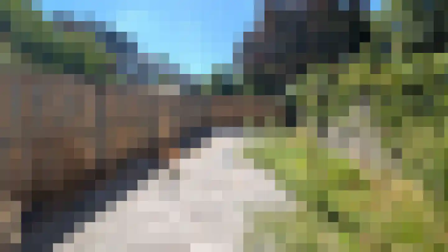 Klimopzoom 42 Leiderdorp thumbnail 15