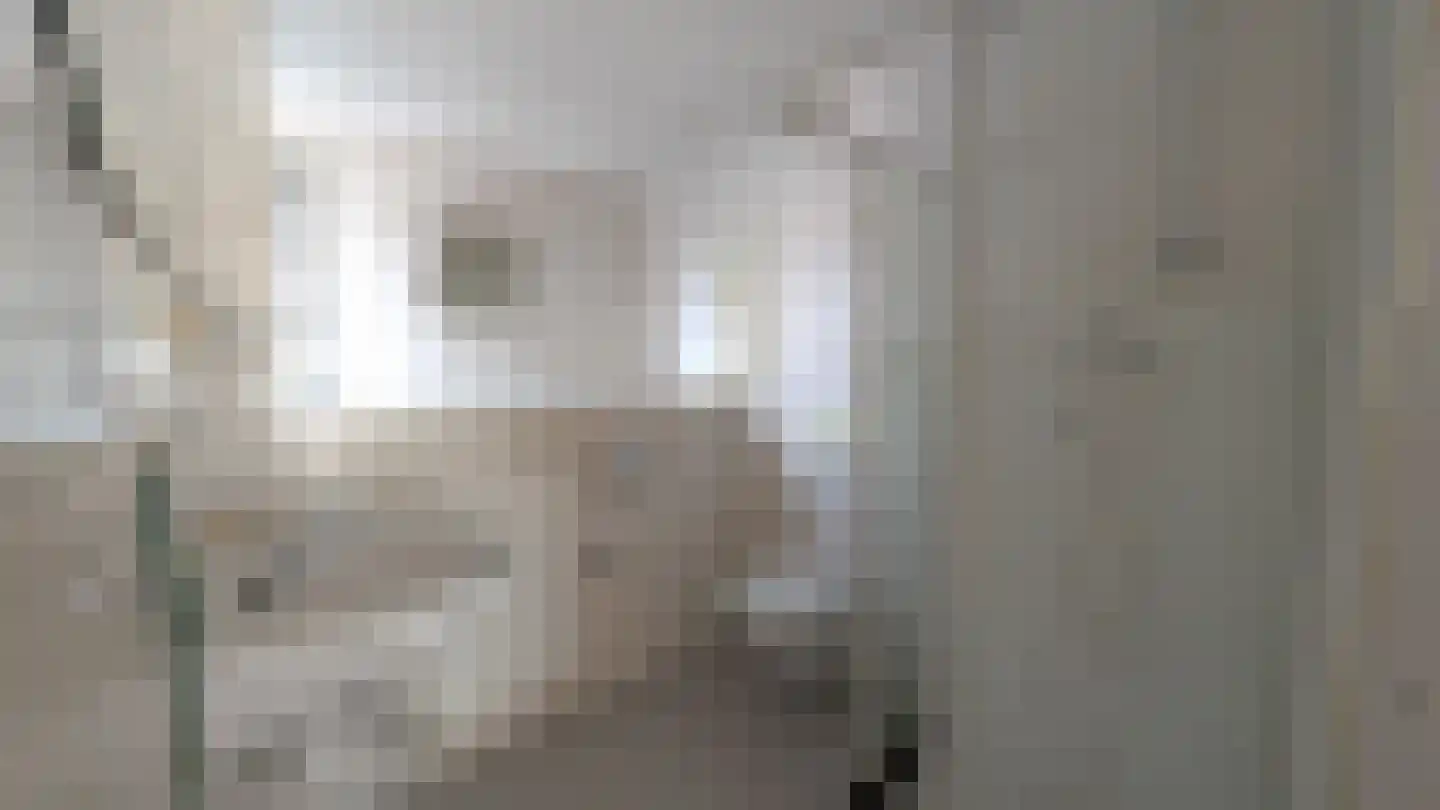 Klimopzoom 42 Leiderdorp thumbnail 25