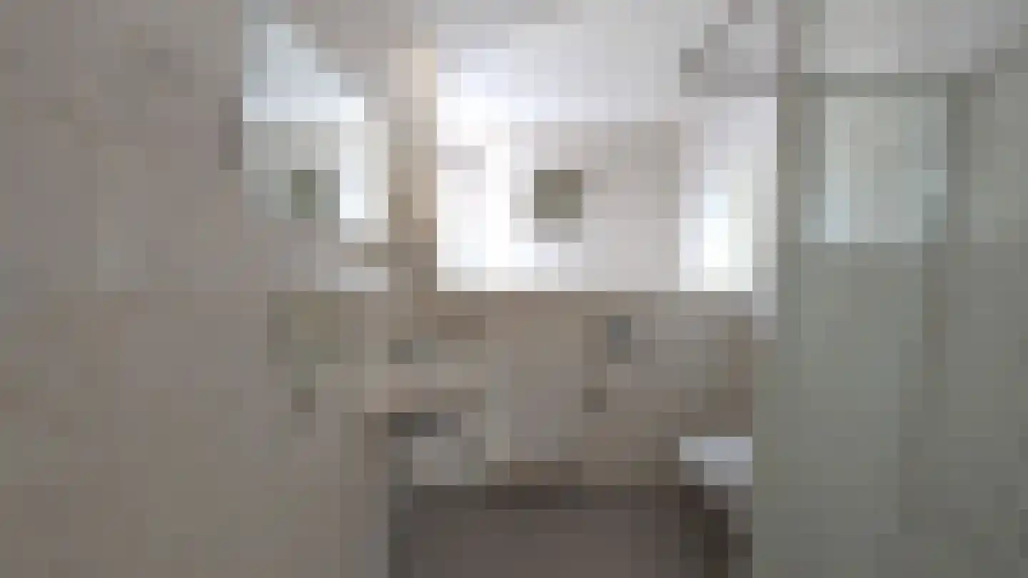 Klimopzoom 42 Leiderdorp thumbnail 26