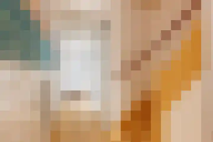 Klimopzoom 52 Leiderdorp thumbnail 12